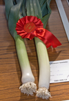 Autumn show