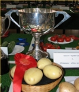Autumn show