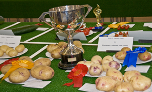 Potatoes