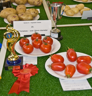 Tomatoes