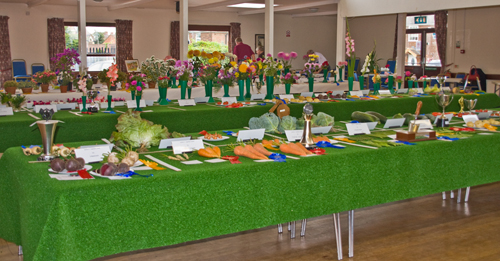 FGA Show 2011