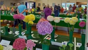 Visitors arriving