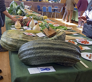 Heaviest marrow