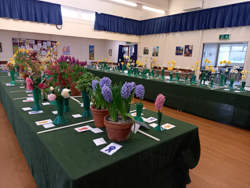 Spring show