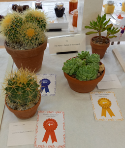 Pot plants