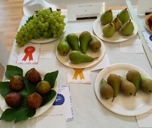 Fruit
