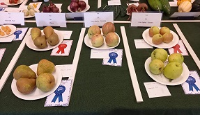 Fruit